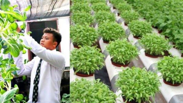 Peluang Bisnis Untuk Anak Muda