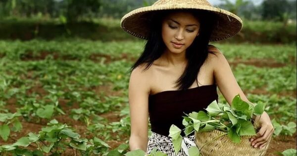 Jenis Peluang Usaha Di Desa