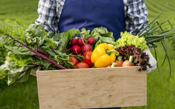 Peluang Usaha Di Rumahan Peluang Usaha Di Rumahan