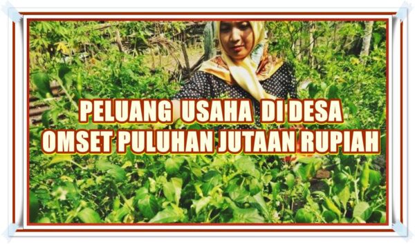 Ide Peluang Usaha Di Desa
