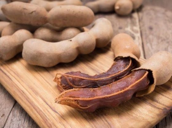 Peluang Usaha Budidaya Asam Jawa