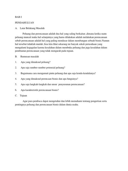 Makalah Identifikasi Peluang Usaha Baru
