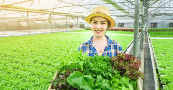 Peluang Usaha Di Desa Modal Kecil